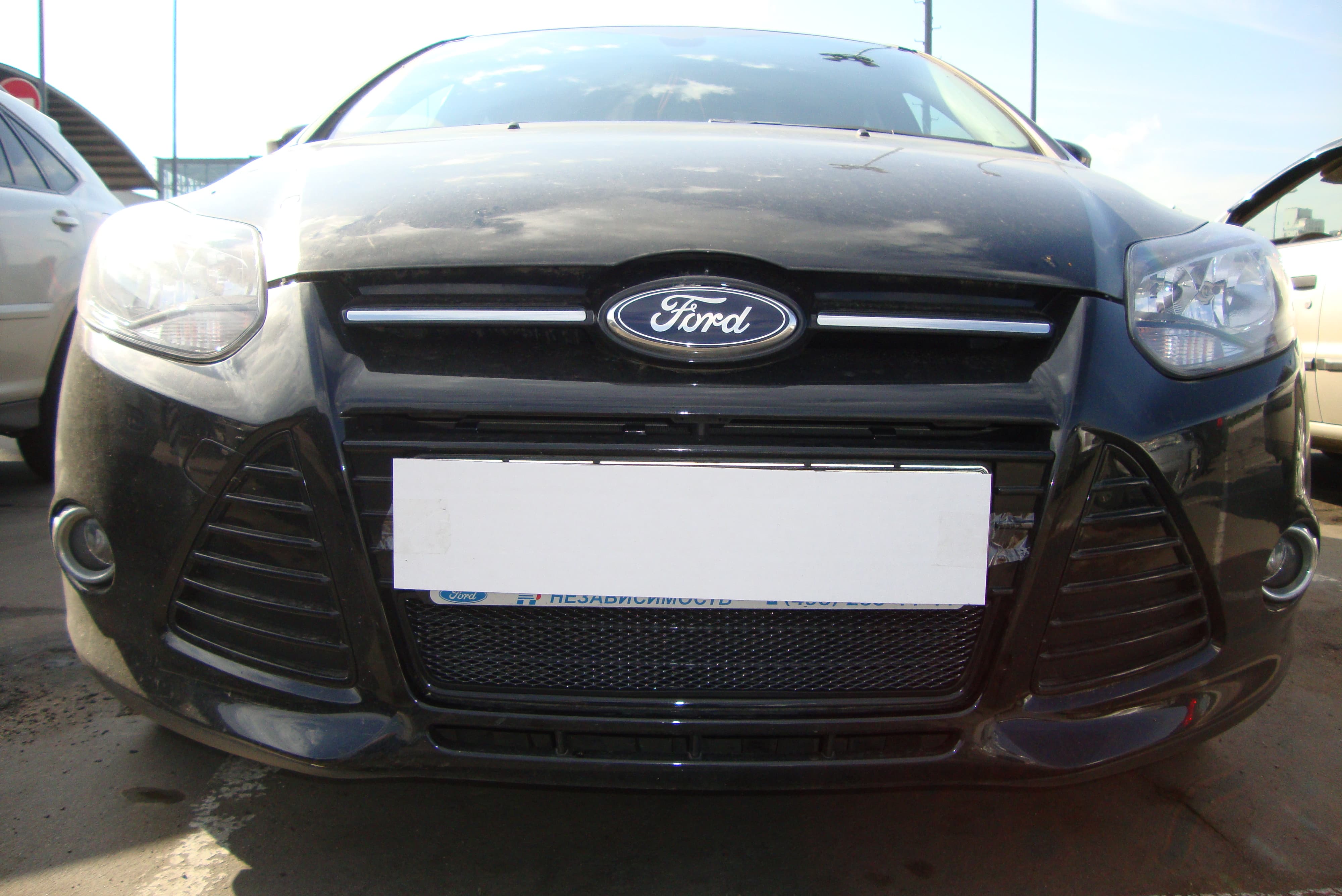 Защитная сетка радиатора ProtectGrille для Ford Focus III (2011-2015 Черная)