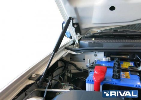 Газовые упоры (амортизаторы) капота Rival для Mitsubishi Pajero Sport