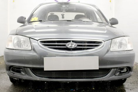 Защитная сетка радиатора ProtectGrille для Hyundai Accent ТагАЗ (2001-2012 Черная)