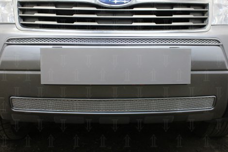 Защитная сетка радиатора ProtectGrille Premium центральная для Subaru Forester (2008-2011 Хром)