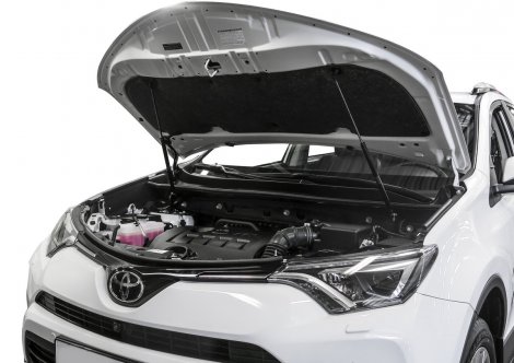 Газовые упоры (амортизаторы) капота Rival для Toyota RAV 4