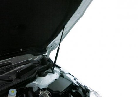 Газовые упоры (амортизаторы) капота Rival для Suzuki SX4