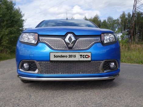 Передняя защита TCC для Renault Sandero (2014-н.в.)