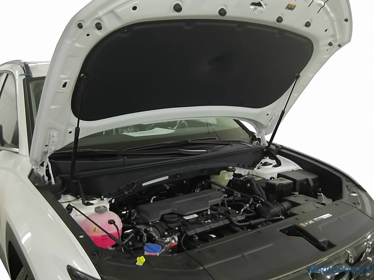Газовые упоры (амортизаторы) капота Arbori ARBORI.HD.016103 для Hyundai Tucson (NX4) 2021-