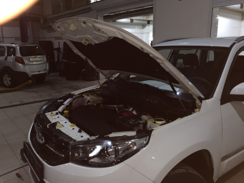 Газовые упоры (амортизаторы) капота Патриот для Chery Tiggo 3