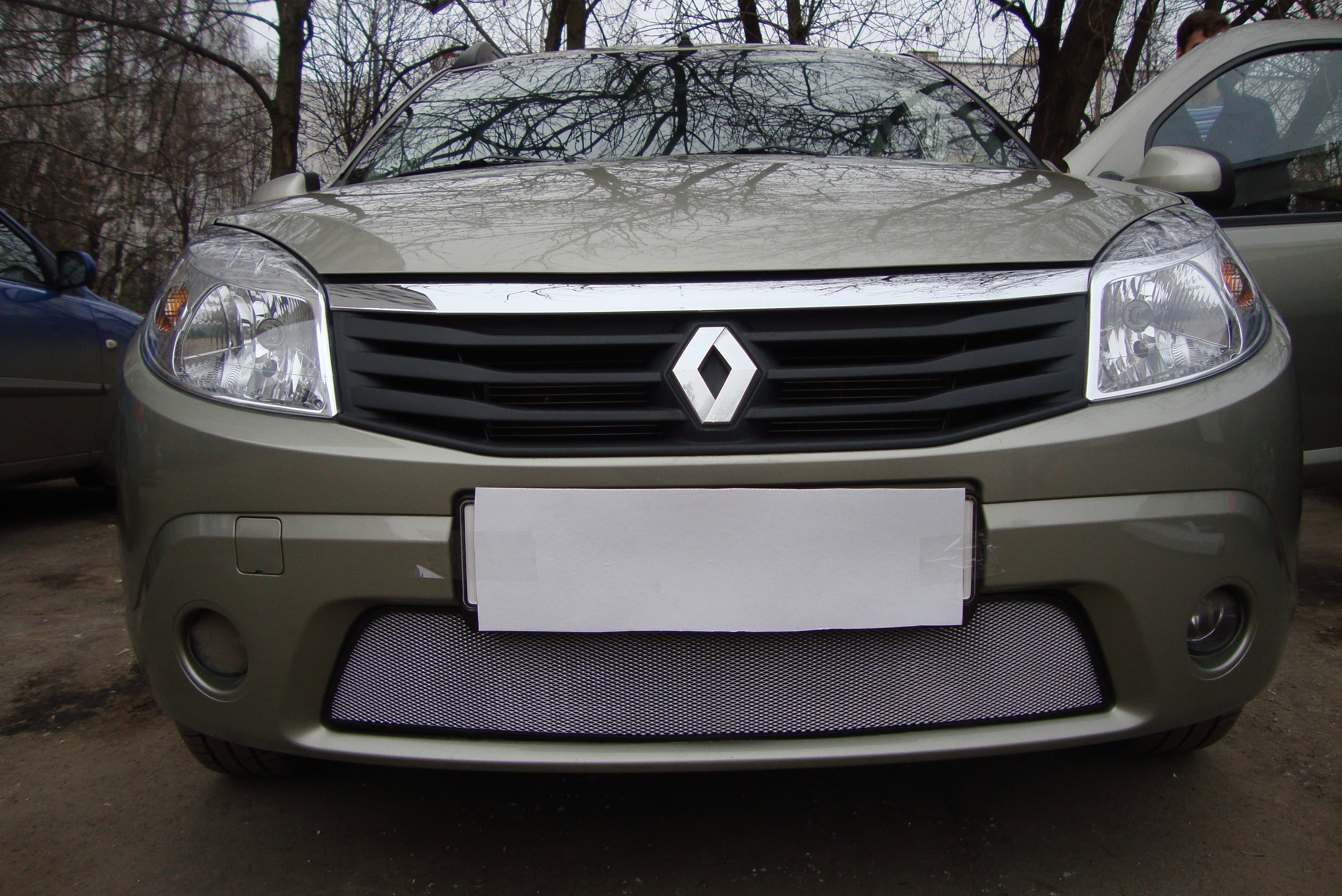 Защитная сетка радиатора ProtectGrille для Renault Sandero (2010-2014 Хром)