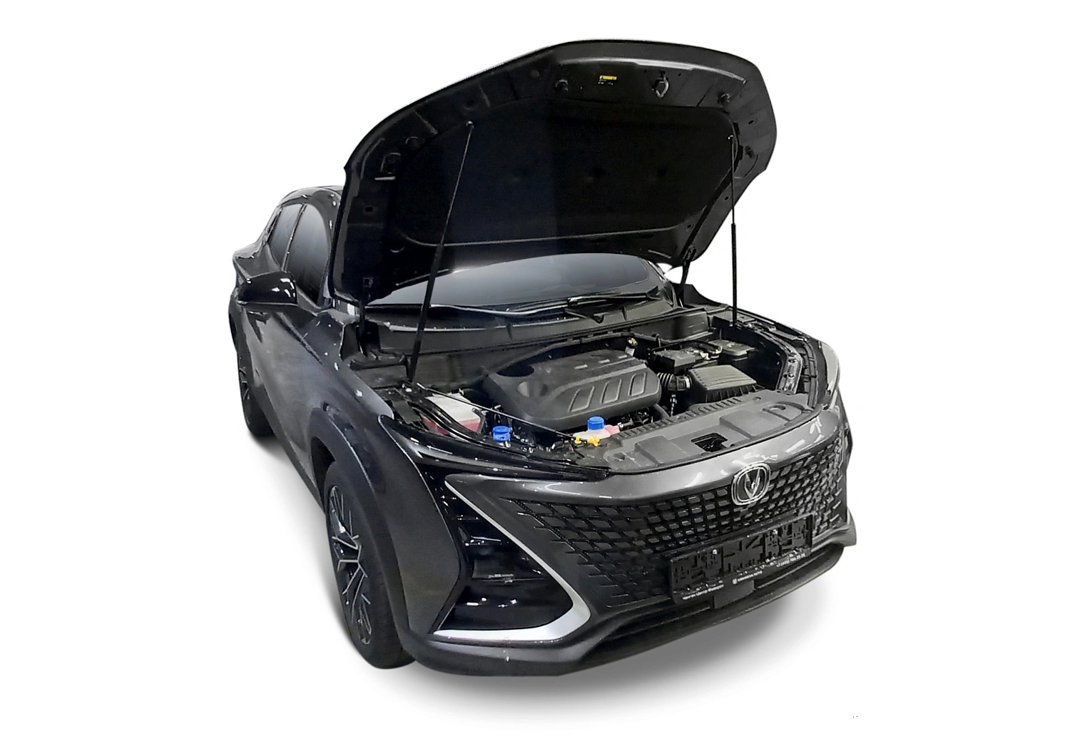 Газовые упоры (амортизаторы) капота Rival A.ST.8904.1 для Changan UNI-T