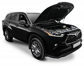 Газовые упоры (амортизаторы) капота Автоупор UTOHIG021 для Toyota Highlander (2020-н.в.)