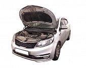 Газовые упоры (амортизаторы) капота Autoinnovation AI10-03 для Kia Rio (2011-2016)