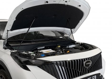Газовые упоры (амортизаторы) капота Rival UGAGS3011 для GAC GS3