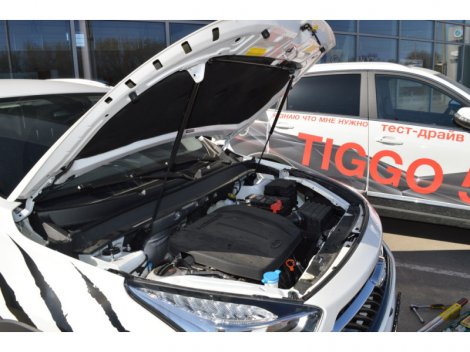 Газовые упоры (амортизаторы) капота Патриот для Chery Tiggo 7