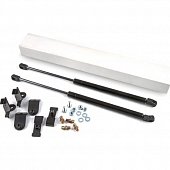 Газовые упоры (амортизаторы) капота A-ENGINEERING KU-TY-RV04-00 для Toyota RAV 4 (2012-2018)
