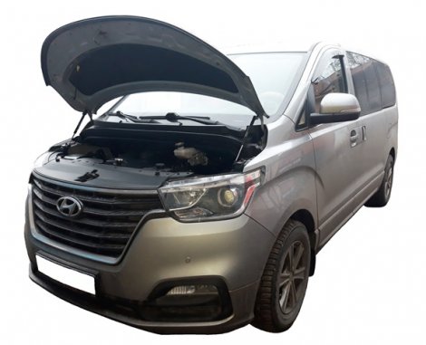 Газовые упоры (амортизаторы) капота Autoinnovation для Hyundai Starex (H1)