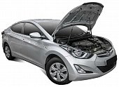 Газовые упоры (амортизаторы) капота Автоупор UHYELA011 для Hyundai Elantra (2013-2016)