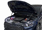 Газовые упоры (амортизаторы) капота Rival A.ST.0904.1 для Omoda S5