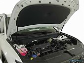 Газовые упоры (амортизаторы) капота Arbori ARBORI.HD.016103 для Hyundai Tucson (NX4) 2021-