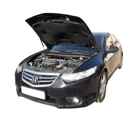 Газовые упоры (амортизаторы) капота Autoinnovation для Honda Accord 8