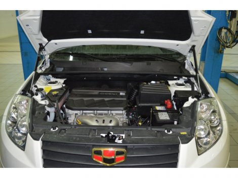 Газовые упоры (амортизаторы) капота Патриот для Geely Emgrand X7