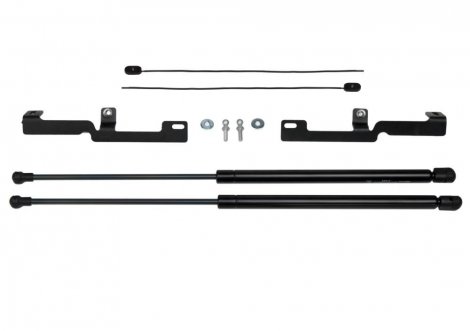 Газовые упоры (амортизаторы) капота Pneumatic KU-GZ-BZ00-00 для ГАЗель Бизнес