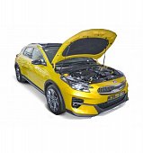 Газовые упоры (амортизаторы) капота Автоупор UKICEE041 для Kia XCeed
