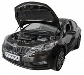 Газовые упоры (амортизаторы) капота Автоупор UKICER012 для Kia Cerato (2013-2018)