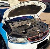 Газовые упоры (амортизаторы) капота Dragon Face DrFGCool19 для Geely Coolray (2019-2023)
