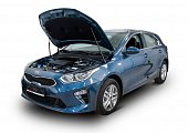 Газовые упоры (амортизаторы) капота Автоупор UKICEE021 для Kia Ceed (2018-н.в.)