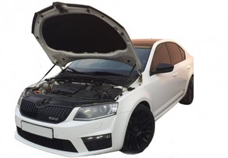 Газовые упоры (амортизаторы) капота Autoinnovation для Skoda Octavia
