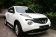 Пороги алюминиевые (Sapphire Silver) для Nissan Juke