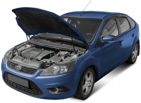 Газовые упоры (амортизаторы) капота АвтоУпор UFDFOC013 для Ford Focus (2008-2011)