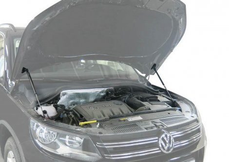 Газовые упоры (амортизаторы) капота Rival для Volkswagen Tiguan