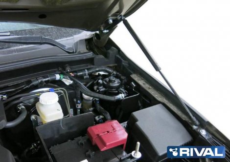 Газовые упоры (амортизаторы) капота Rival для Mitsubishi L200