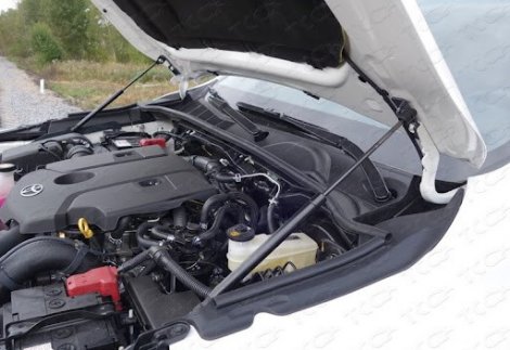 Газовые упоры (амортизаторы) капота TCC для Subaru XV