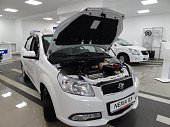 Оригинальные газовые упоры (амортизаторы) капота для Ravon Nexia R3 