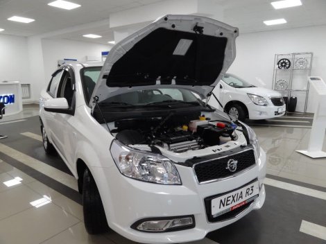 Оригинальные газовые упоры (амортизаторы) капота для Ravon Nexia R3 