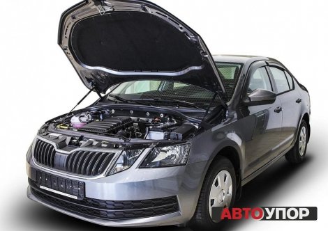 Газовые упоры (амортизаторы) капота АвтоУпор USKOA7012 для Skoda Octavia (2013-2020)