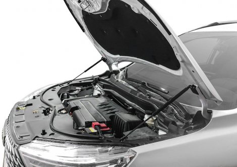 Газовые упоры (амортизаторы) капота Rival UHAM6011 для Haval M6