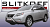 Передняя защита Slitkoff для Lexus RX350 (2009-2012)
