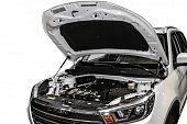Газовые упоры (амортизаторы) капота АвтоУпор ULIX70011 для Lifan X70