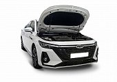 Газовые упоры (амортизаторы) капота Rival A.ST.0903.1 для Chery Arrizo 8