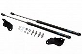 Газовые упоры (амортизаторы) капота Arbori ARBORI.HD.017101 для Chery Tiggo 4 Pro (2021-н.в.)