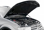 Газовые упоры (амортизаторы) капота АвтоУпор UMIL20021 для Mitsubishi L200 (2006-2015)