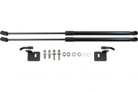 Газовые упоры (амортизаторы) капота Arbori ARBORI.HD.029103 для Mitsubishi Pajero Sport (2021-н.в.)
