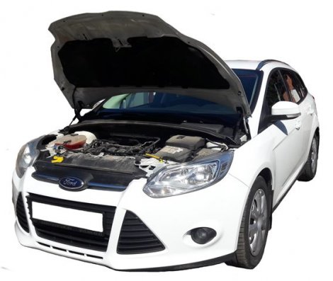 Газовые упоры (амортизаторы) капота Autoinnovation для Ford Focus 3 (2011-2019)