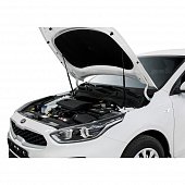Газовые упоры (амортизаторы) капота Автоупор UKICER021 для Kia Cerato (2018-н.в.)