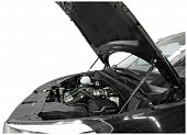 Газовые упоры (амортизаторы) капота Автоупор UHYTUC011 для Hyundai Tucson (2015-2017)