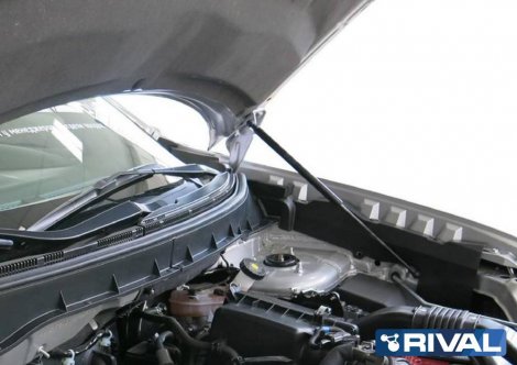Газовые упоры (амортизаторы) капота Rival для Mitsubishi ASX