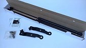 Газовые упоры (амортизаторы) капота A-ENGINEERING для Nissan Pathfinder (2004-2014)