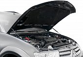 Газовые упоры (амортизаторы) капота Rival 2A.ST.4008.1 для Mitsubishi Pajero Sport (2008-2016)