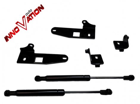 Газовые упоры (амортизаторы) капота Autoinnovation для Ford Focus 3 (2011-2019)